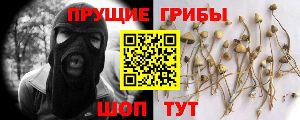 Псилоцибиновые грибы ЛСД  Галлюциногенные грибы GOLDEN TEACHER  Вход с VPN  Лабинск 